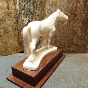 Pferd mit toller Rindenfärbung