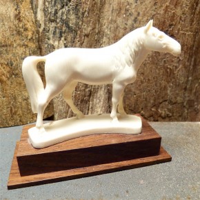 Pferd mit toller Rindenfärbung