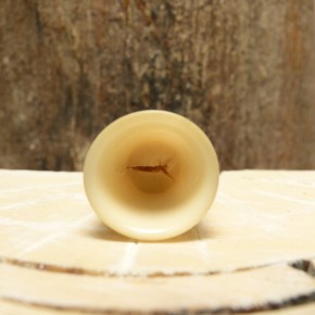 Fingerhut aus Tagua-Nuss