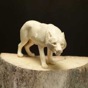 Zähne fletschender Wolf