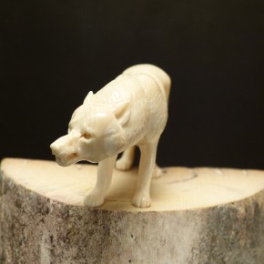 Zähne fletschender Wolf