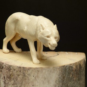 Zähne fletschender Wolf