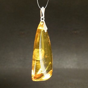 Bernstein-Anhänger klar