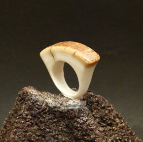 Ring mit schöner Färbung W16-16,5