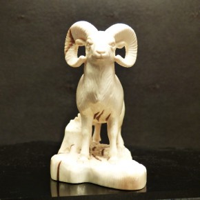 Widder mit Baumstumpf