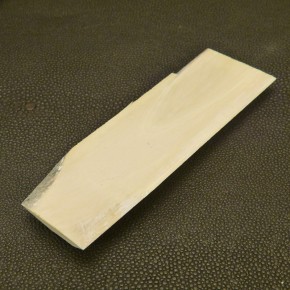 Mammut-Abschnitt ca. 105mm lang
