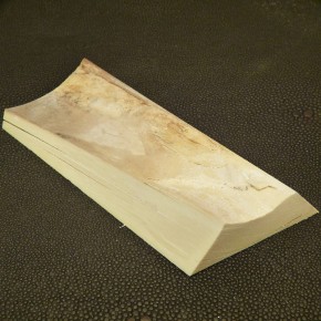 Mammut-Abschnitt ca. 105 bis 120mm lang