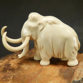 Mammut mit toller Rindenfärbung