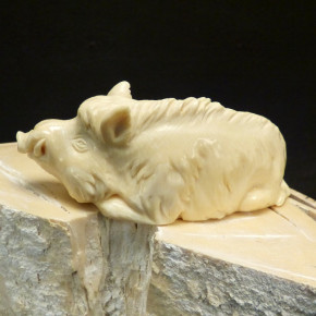 liegendes Wildschwein groß