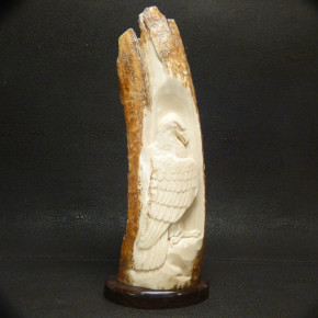 Adler-Reilief in der Mammutrinde