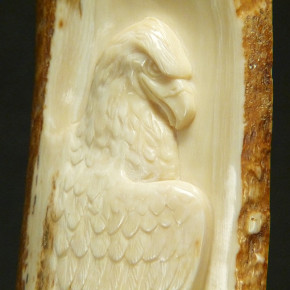 Adler-Reilief in der Mammutrinde