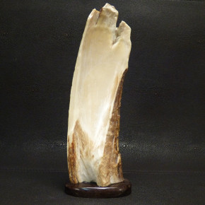 Adler-Reilief in der Mammutrinde