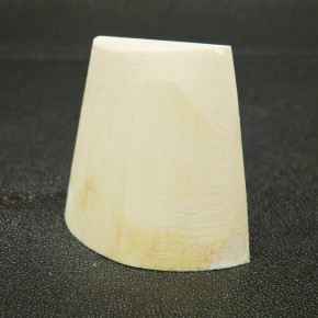 Mammut-Abschnitt ca. 53x59x22mm