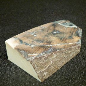 Mammut-Abschnitt ca. 91x50x25mm