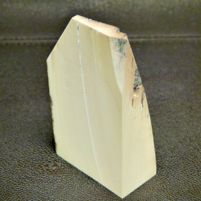 Mammut-Abschnitt ca. 91x50x25mm