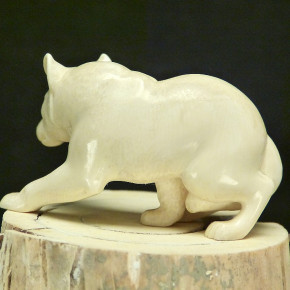 Wolf aus Mammut-Elfenbein mit Wasserflecken