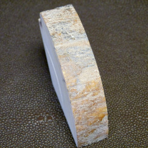 Mammut-Abschnitt mikt Rinde ca. 17,5mm dick