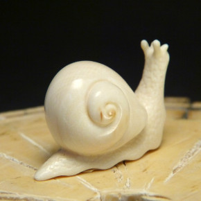 Schnecke  mit schöner Ausarbeitung
