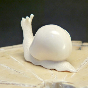 Schnecke  mit schöner Ausarbeitung