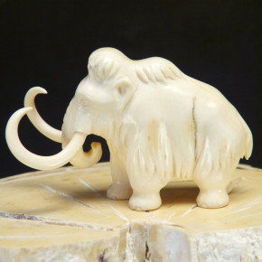 Mammut mit schöner Maserung