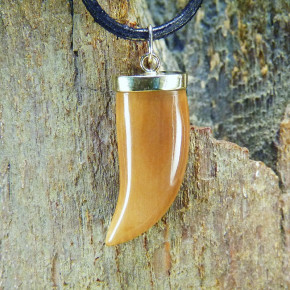 dunkler Zahn-/Krallenanhänger mit Gold 333/-