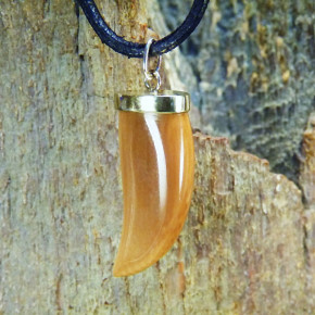 dunkler Zahn-/Krallenanhänger mit Gold 333/-