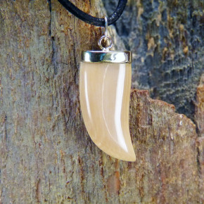 cremiger Zahn-/Krallenanhänger mit Gold 333/-