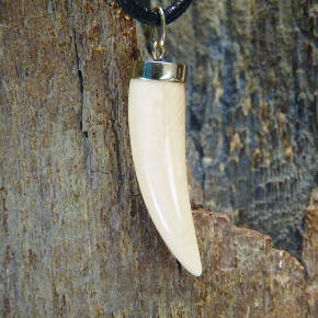 Zahnanhänger mit Gold 333/-