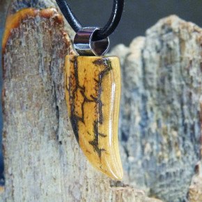 Zahnanhänger mit dunkler Rindenfärbung