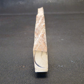 Längsschnitt eines Mammutzahns 230x38x14,5mm