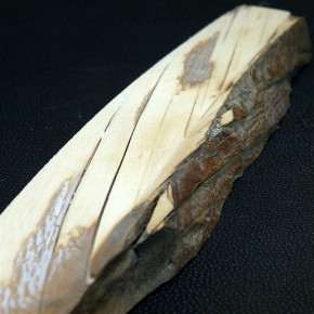 Längsschnitt eines Mammutzahns 230x38x14,5mm