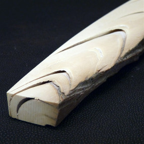 Längsschnitt eines Mammutzahns 230x38x14,5mm