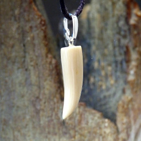 Zahnanhänger cremig