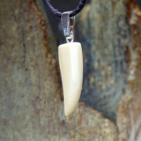 Zahnanhänger cremig