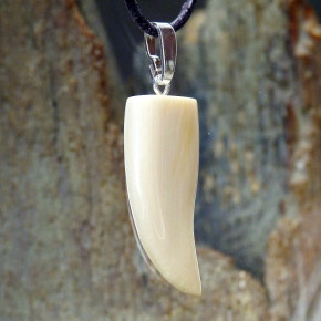 Zahn-/Krallenanhänger cremig