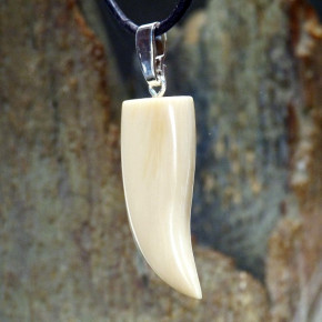 Zahn-/Krallenanhänger cremig