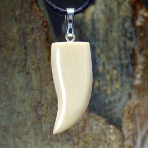 Zahn-/Krallenanhänger cremig