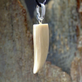 Zahn-/Krallenanhänger cremig