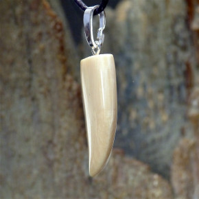 Zahn-/Krallenanhänger cremig