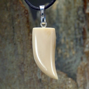 Zahn-/Krallenanhänger cremig