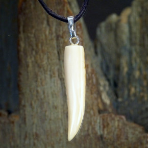 schlanker Zahnanhänger mit Färbung