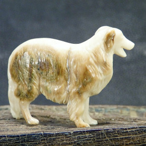 russischer Windhund mit schönen Färbungen