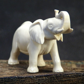 Elefant aus hellcremigem Mammut