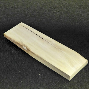 Mammut-Platte mit Riss ca. 100 x 32 x 7,3-8,2mm