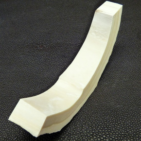 Mammut-Bogensegment ca. 100 x 19 x 16 mm