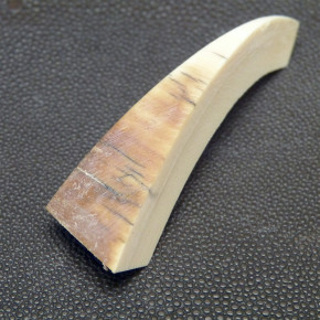 Mammut-Bogensegment ca. 13,5mm dick