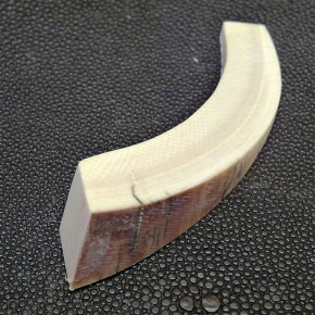 Mammut-Bogensegment ca. 13,5mm dick