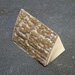 Mammut-Dreikant ca. 42x34x24mm