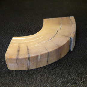 Mammut-Abschnitt braun ca. 89x31x17mm
