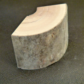Mammut-Bogenabschnitt braun ca. 64x41x23 bis 30mm